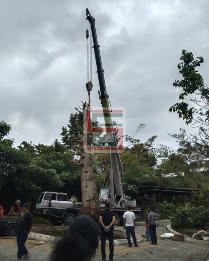 sewa crane jabodetabek